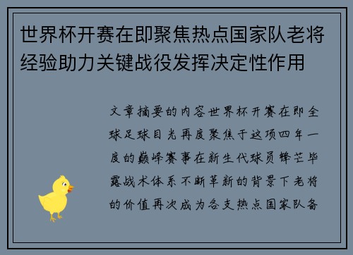世界杯开赛在即聚焦热点国家队老将经验助力关键战役发挥决定性作用