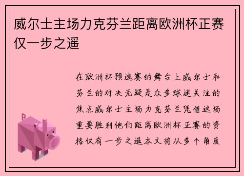 威尔士主场力克芬兰距离欧洲杯正赛仅一步之遥